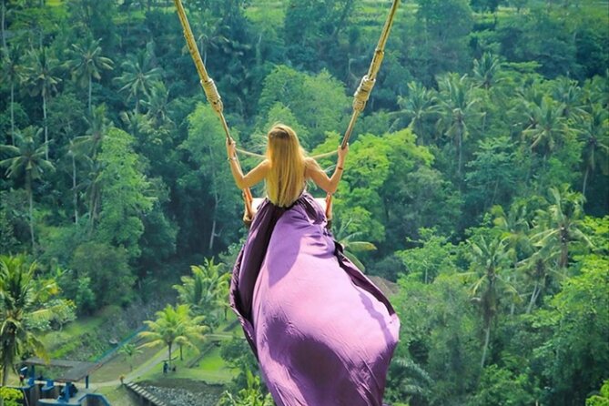 Private Tour: Gates of Heaven,Tukad Cepung Waterfall, Tirta gangga - Who This Private Tour Suits Best