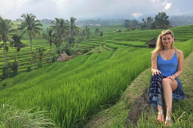 Private Tour Highlight of Bedugul and Jatiluwih Rice Terrace - Getting there: winding roads, a calm driver, better photos