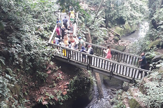 Private tour in Ubud country side - Price and What You’re Really Getting for $58 Per Person