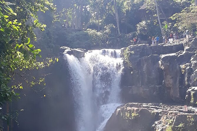 Private tour in Ubud country side - Tegalalang Rice Terrace: A Fast Photo Stop With the Right Follow-Up