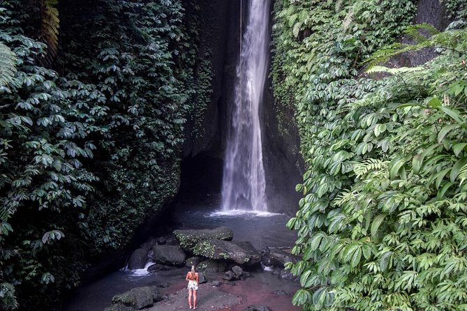 Private Tour: Leke-Leke Waterfall, Handara gate & Iconic Temples - Timing, logistics, and how to get the best day out of it
