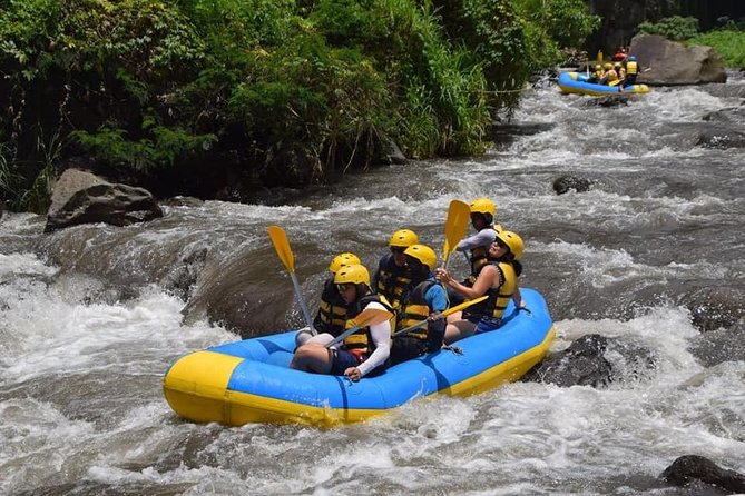 Private Tour Rafting Uluwatu Kecak Dance Sunset and Dinner in Jimbaran Bay - Price and What You Get for About $30.40