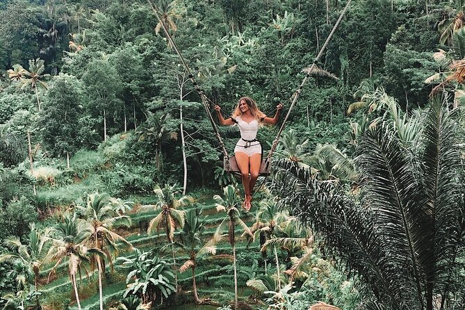Private Tour to Sumampan Waterfall, Monkey forest, Rice terraces and Swing - Why this Ubud route feels worth the time