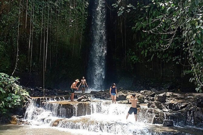 Private Tour to Sumampan Waterfall, Monkey forest, Rice terraces and Swing - Stop 5: d’Alas Swing for the big photo moment