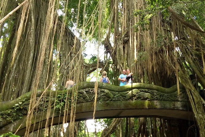 Private Tour to Sumampan Waterfall, Monkey forest, Rice terraces and Swing - Price and what you truly get for $57