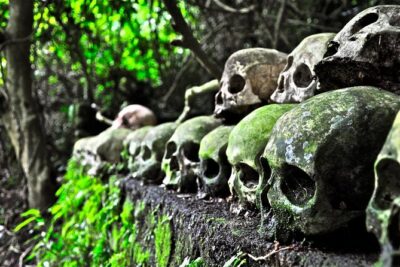 Private Tour to Trunyan Village "Skull Island of Bali" - Entering Trunyan Village and the Open Cemetery: what you’ll actually see
