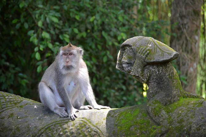 Private Tour: Ubud Day Tour with Traditional Offering Lesson - Should You Book This Ubud Offering Tour?