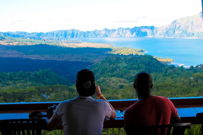 Private Ubud and Volcano Day Trip - How the private day keeps your schedule under control