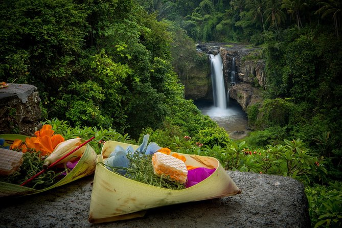 Private Ubud Day Tour - A Ubud day that mixes animals, water, rice, and temple
