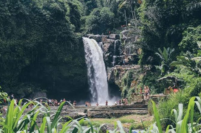Private Ubud Day Tour - Tegenungan Waterfall: swim time, mist, and managing the crowds
