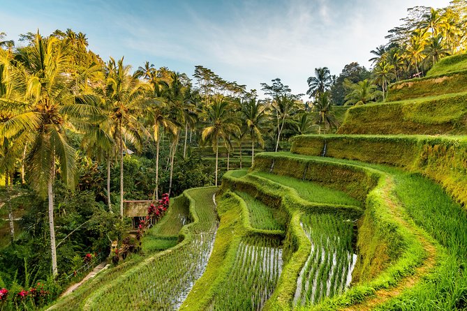 Private Ubud Day Tour - Guides matter: Sudi and Made Kepo as a real-life difference