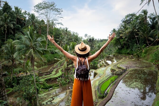 Private Ubud Day Tour Waterfalls Sacred Monkeys and Rice Fields - Key highlights before you go