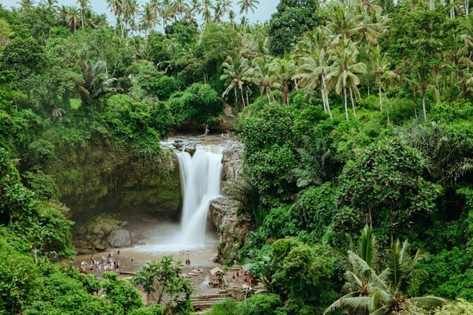 Private Ubud Day Tour Waterfalls Sacred Monkeys and Rice Fields - Sacred Monkey Forest Sanctuary: temples + macaques = fun with rules