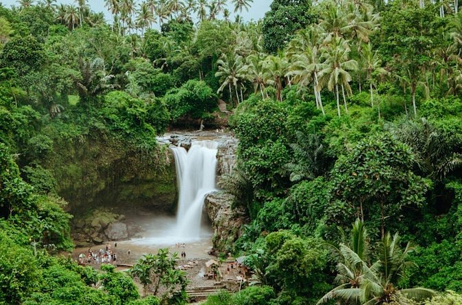 Private Ubud Day Tour Waterfalls Sacred Monkeys and Rice Fields - Price and logistics: what $27 really gets you