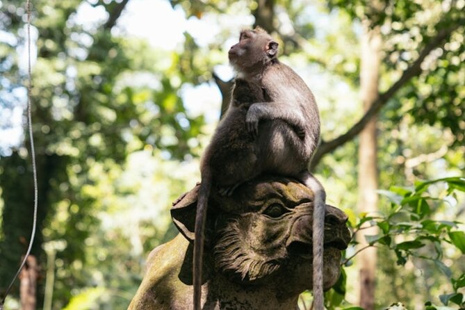 Private Ubud Day Tour Waterfalls Sacred Monkeys and Rice Fields - Mas Carving Center: the best souvenirs are the process
