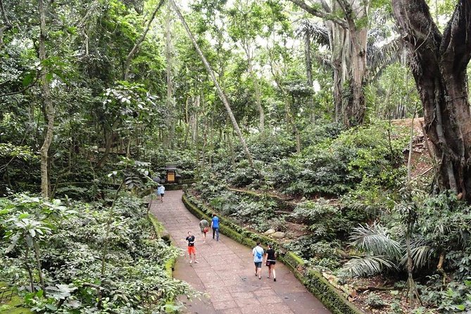 Private Ubud Day Tour - Secret Monkey Forest Sanctuary: how to enjoy the jungle without drama