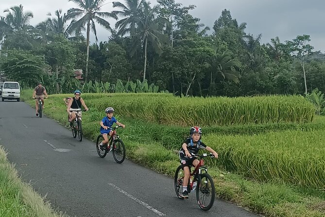 Private Ubud Downhill Cycling with Volcano, Rice Paddies & Meal - Kintamani and the Mount Batur crater lake viewpoint