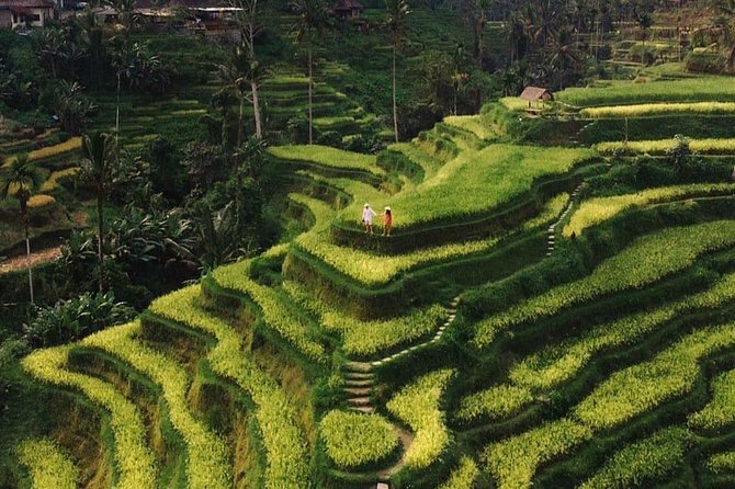 Private Ubud Tour - Key Things That Make This Ubud Private Tour Worth It
