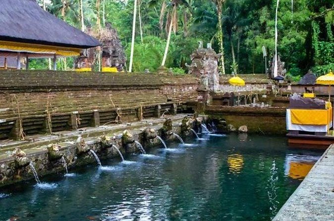 Private Ubud Tour - Sacred Monkey Forest Sanctuary: seeing macaques without turning it into chaos