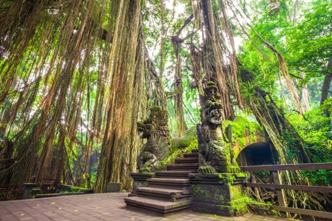 Private Ubud Tour: Monkey Forest, Waterfall & Rice Terrace - Tegenungan Waterfall: Lush Nature Break With Stairs to Earn It