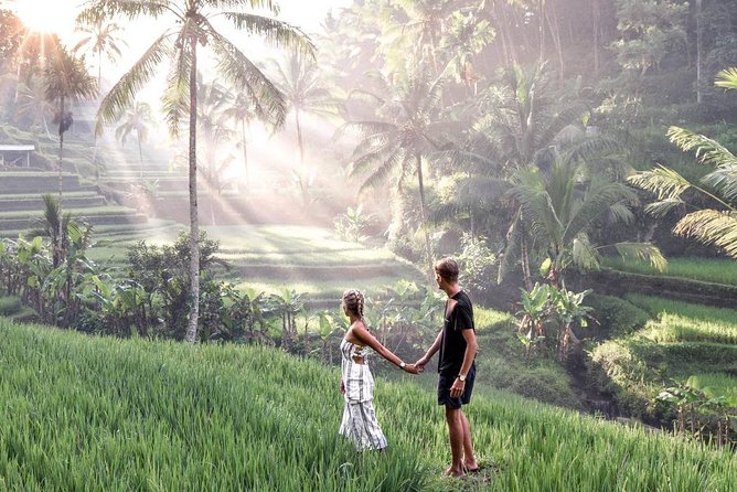 Private Ubud Tour Package - Pickup, private pacing, and how the day is managed