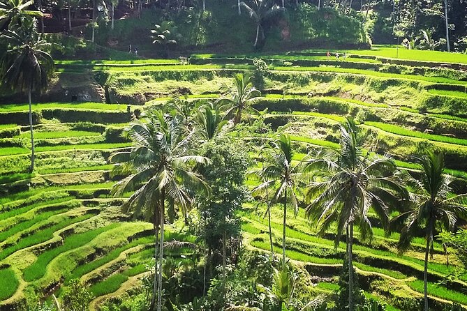 Private ubud tour : Temple Bathing + Mount Batur + Rice Terrace. - Oka Agriculture Bali coffee and spice tasting in 35 minutes