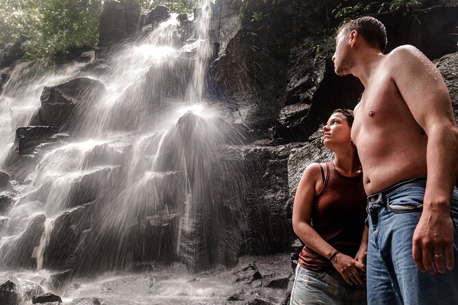 Private Ubud Tour: Waterfall, Rice Terrace & Monkey Forest - Private Ubud day trips: why this one makes sense