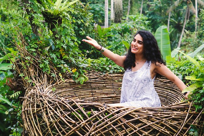 Private Ubud Tour: Waterfall, Rice Terrace & Monkey Forest - Tegalalang Rice Terrace: the view, the angles, the rhythm