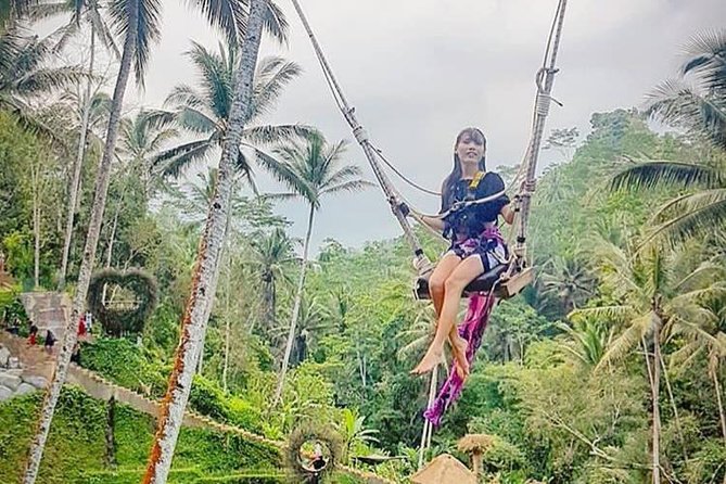 Private Ubud Tour with Hidden Waterfalls - Why This Ubud Day Works When You Have Limited Time