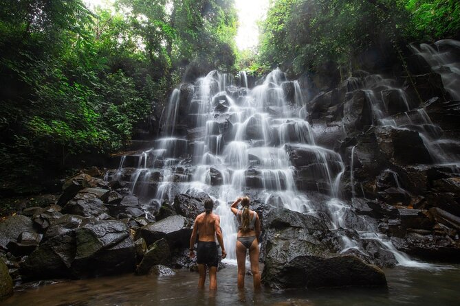 Private Waterfall Tour Feature Tukad Cepung, Tibumana and Kanto Lampo - Price and value: is $44.47 per person fair?