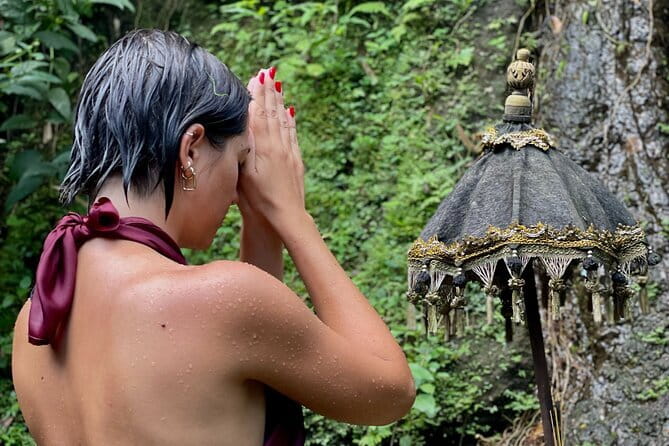 Purification Ceremony, Kehen Temple and Goa Raja Waterfall Tour - Price and value: what $55 covers and what to budget for