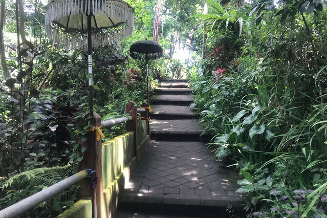 Purification Holy Bath at Beji Gria Waterfall - Who should book this, and who should skip it