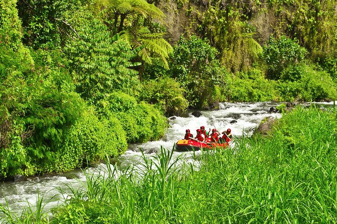 Rafting Adventure 18 km and Balinese Village Life Tour with Lunch - Telaga Waja Stop: 18 km rafting, waterfalls, and jungle wildlife vibes