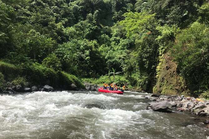 Rafting Adventure 18 km and Balinese Village Life Tour with Lunch - Klungkung Village Life After Rafting: rice fields, family compounds, and a shared Balinese lunch