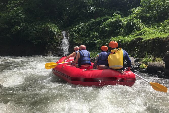 Rafting Adventure 18 km and Balinese Village Life Tour with Lunch - Value at $73.02: when this combo makes sense
