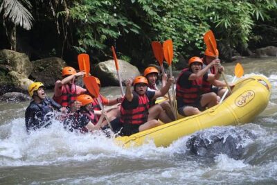 Rafting Swing Monkey Forest And Waterfall Tour All Inclusive - Payangan Village to the Ayung River: The Rafting Portion That Sets the Tone