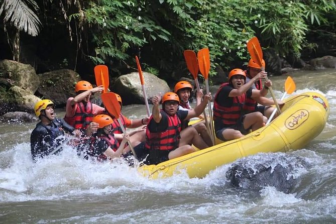 Rafting Swing Monkey Forest And Waterfall Tour All Inclusive - Payangan Village to the Ayung River: The Rafting Portion That Sets the Tone