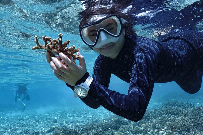Reef Rehabilitation Course and Snorkeling - Why Reef ReHab Feels Practical (and Different)