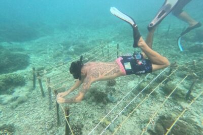 Reef Rehabilitation Course and Snorkeling - Coral Conservation Presentation: The Part That Makes Planting Make Sense