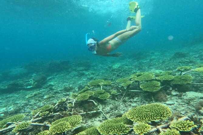 Reef Rehabilitation Course and Snorkeling - Underwater Knot-Tying: A Skill You’ll Remember