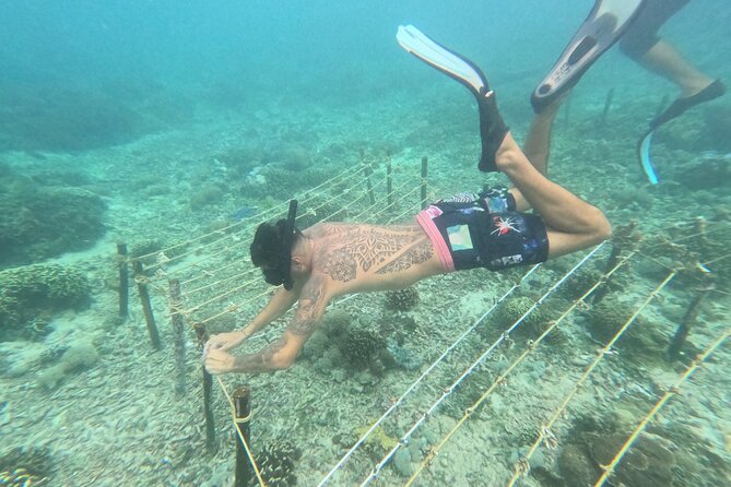 Reef Rehabilitation Course and Snorkeling - Coral Conservation Presentation: The Part That Makes Planting Make Sense
