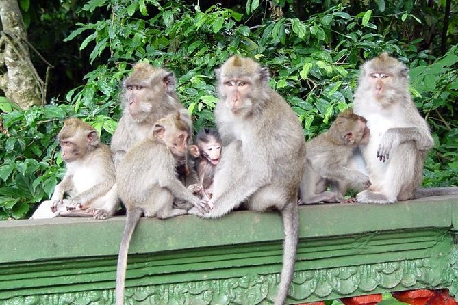 Royal Family Temple, Monkey Forest, and Tanah Lot Sunset Tour - Tanah Lot Temple at sunset: the last stop you’ll remember