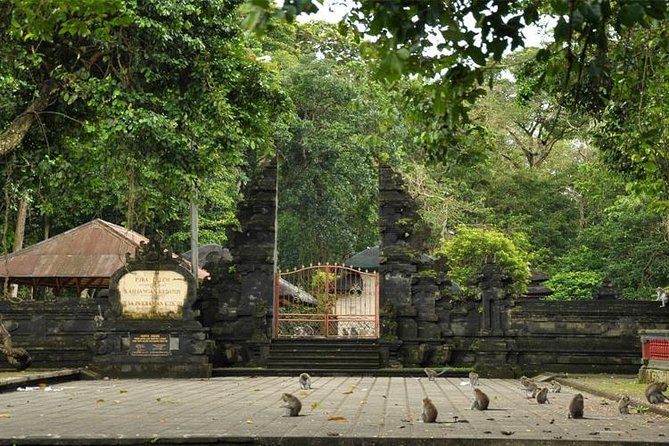 Royal Family Temple, Monkey Forest, and Tanah Lot Sunset Tour - What the guide adds (and why it’s worth paying for)
