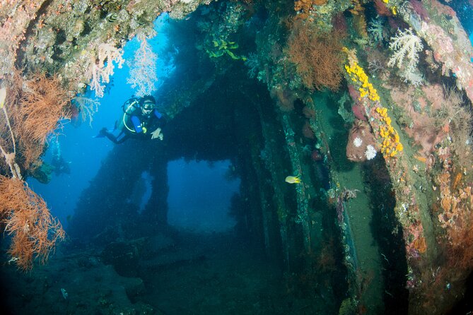 Sanur Open Water Course learn diving in 3 Days - Get certified & Dive everywhere - Instructor quality, small teams, and the kind of safety culture you want