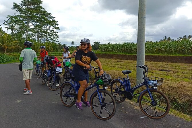 Sanur Village E-bike Tour: Family-Friendly Adventure - Sanur by Bike: A calmer side of Bali near Kuta