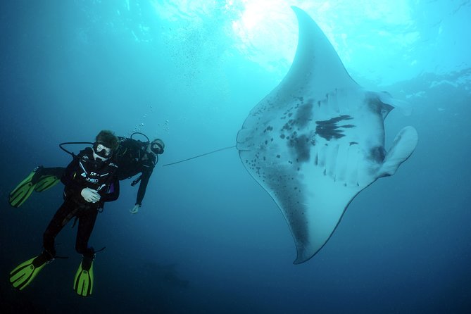 Scuba Diving Nusa Penida Manta Point 3 dives for certified divers - Crystal Bay and Penida’s Other Stops: When Mola-Mola Are in Season