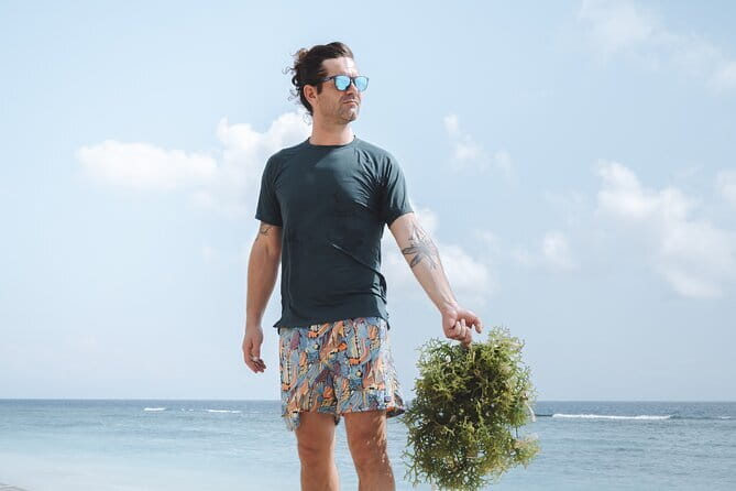 Seaweed Farming Activity and Sightseeing at Diamond Beach - Key highlights to know before you go