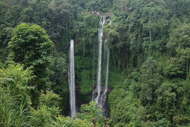 Sekumpul waterfall & aling2 waterfall with private service (including activity) - Sekumpul Waterfall: the 90-meter payoff after about an hour ride