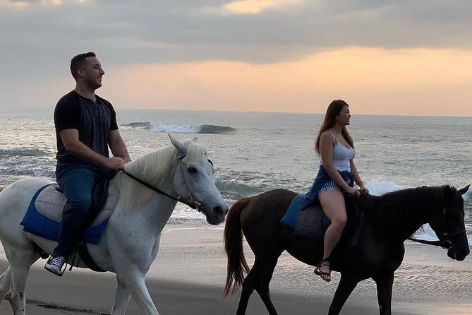 Seminyak Beach Bali Horse Riding - How long is one hour: managing expectations on pace and comfort
