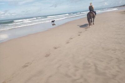 Seminyak Beach Bali Horse Riding - Beginner-friendly riding: what the guide role really means